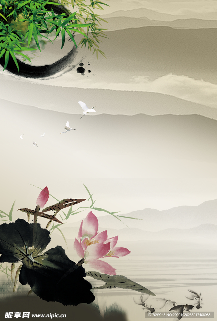 国画荷花