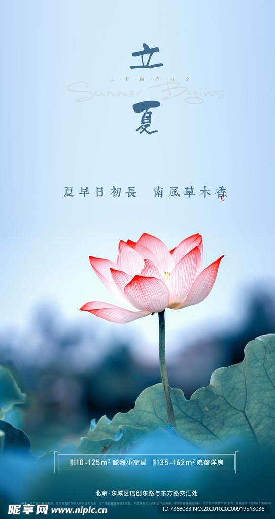 立夏节气海报