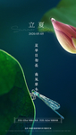 立夏节气海报
