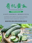 黄瓜海报