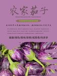 茄子海报