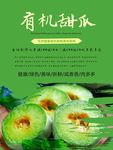 甜瓜海报