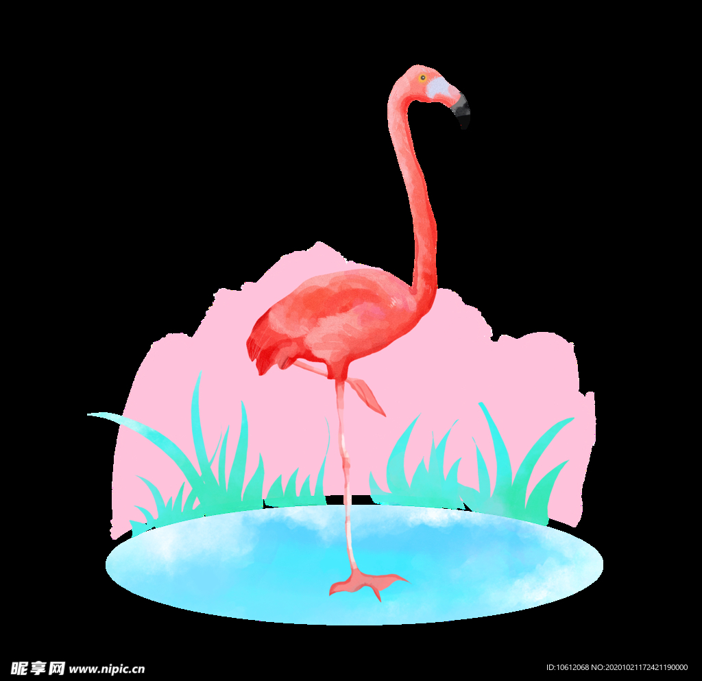 手绘鸟  水彩动物 卡通 元素