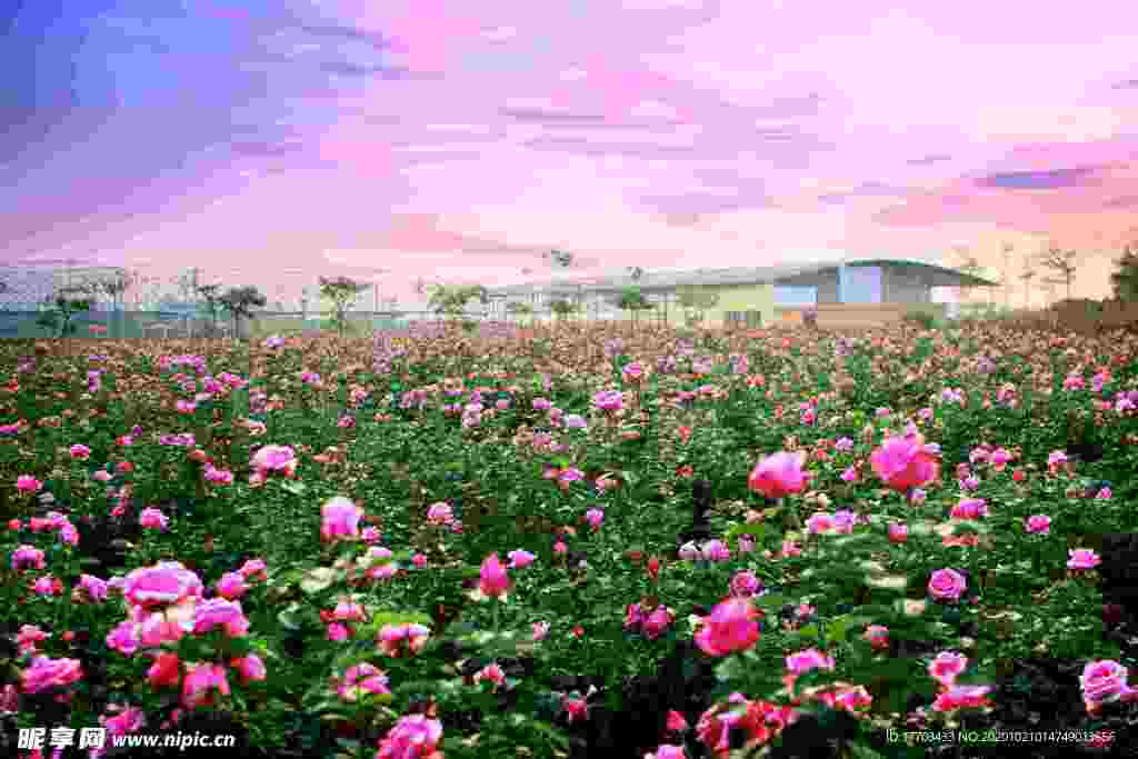 花园