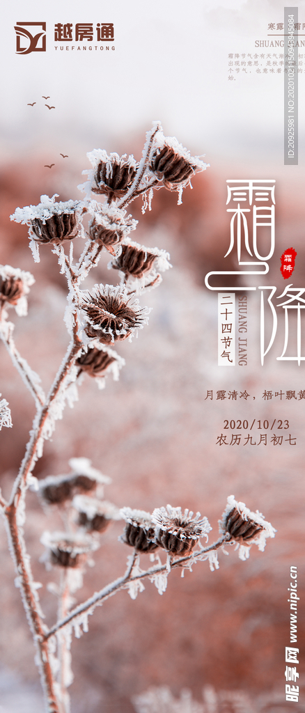 霜降