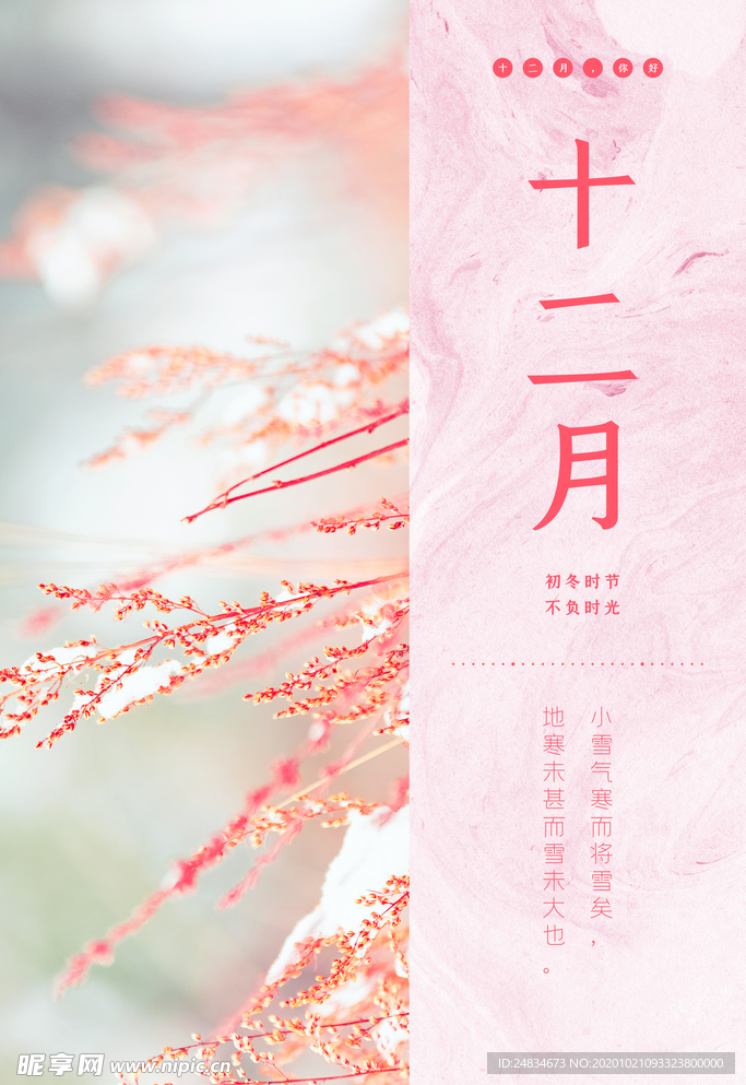 十二月你好