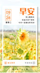 每日一签海报