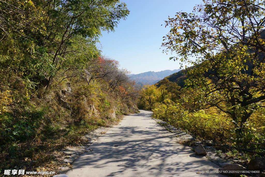 延庆山景之秋色