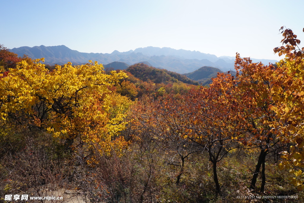 延庆山景之秋色