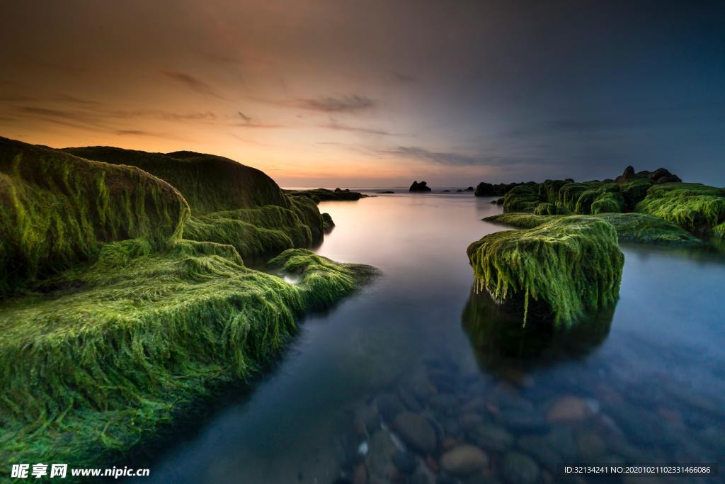 绿地沼泽溪流