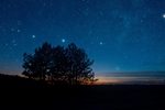 森林星空