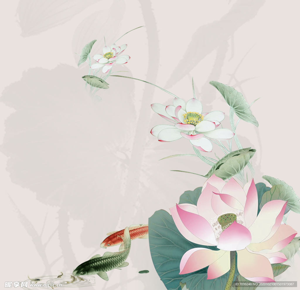 国画荷花 江
