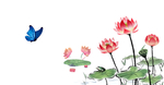 国画荷花