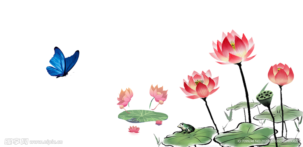 国画荷花