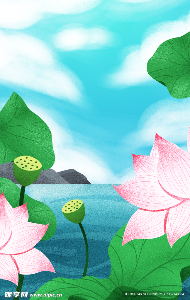 国画荷花