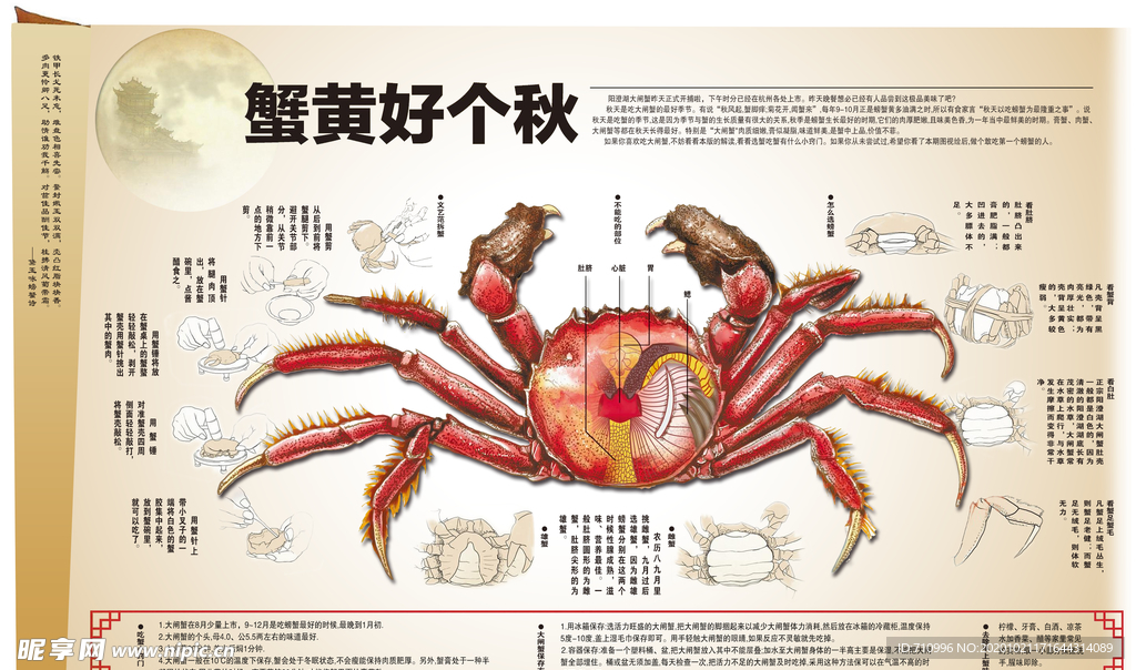 吃螃蟹的方法