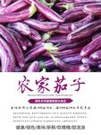 茄子海报