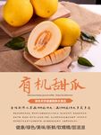 甜瓜海报