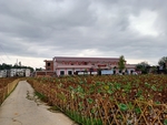 何宝珍故里