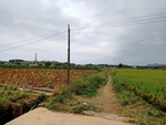陈树湘纪念馆