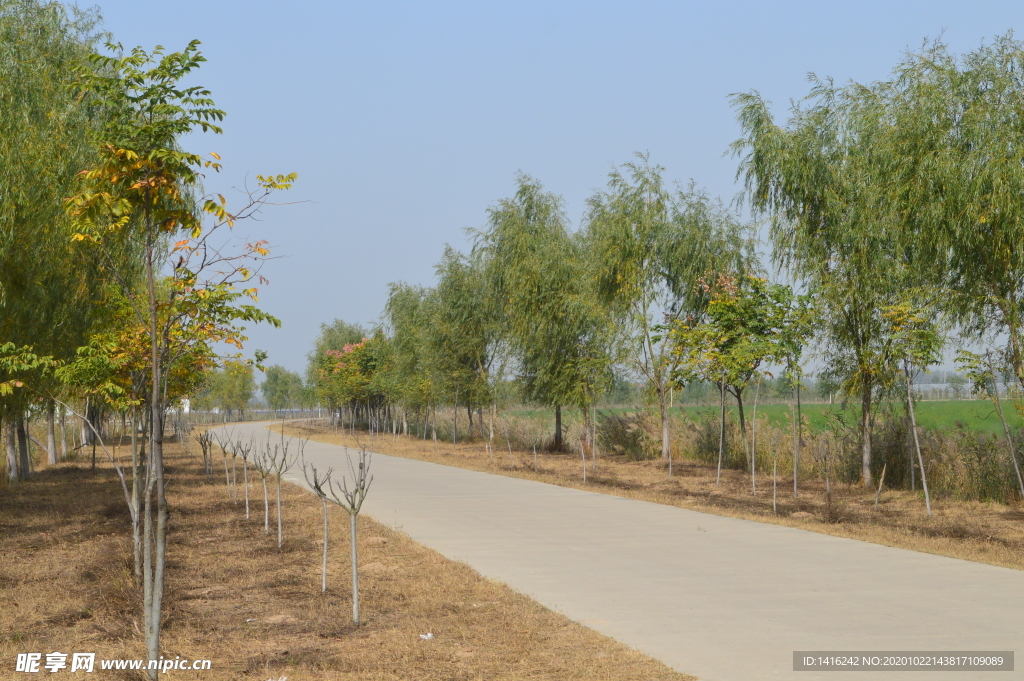 景观小路