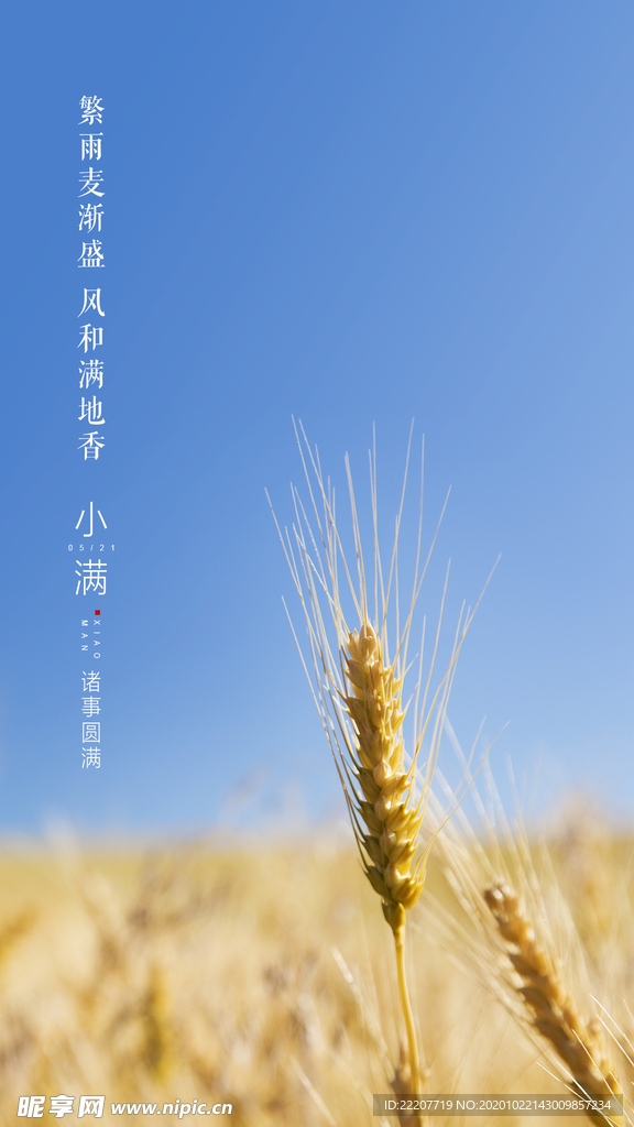 小满