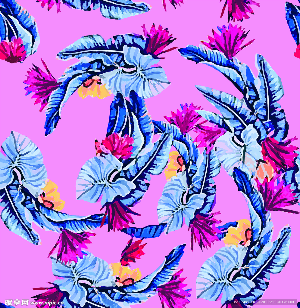 回旋花朵