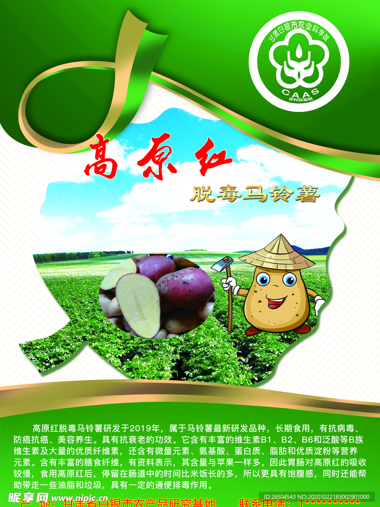 马铃薯海报
