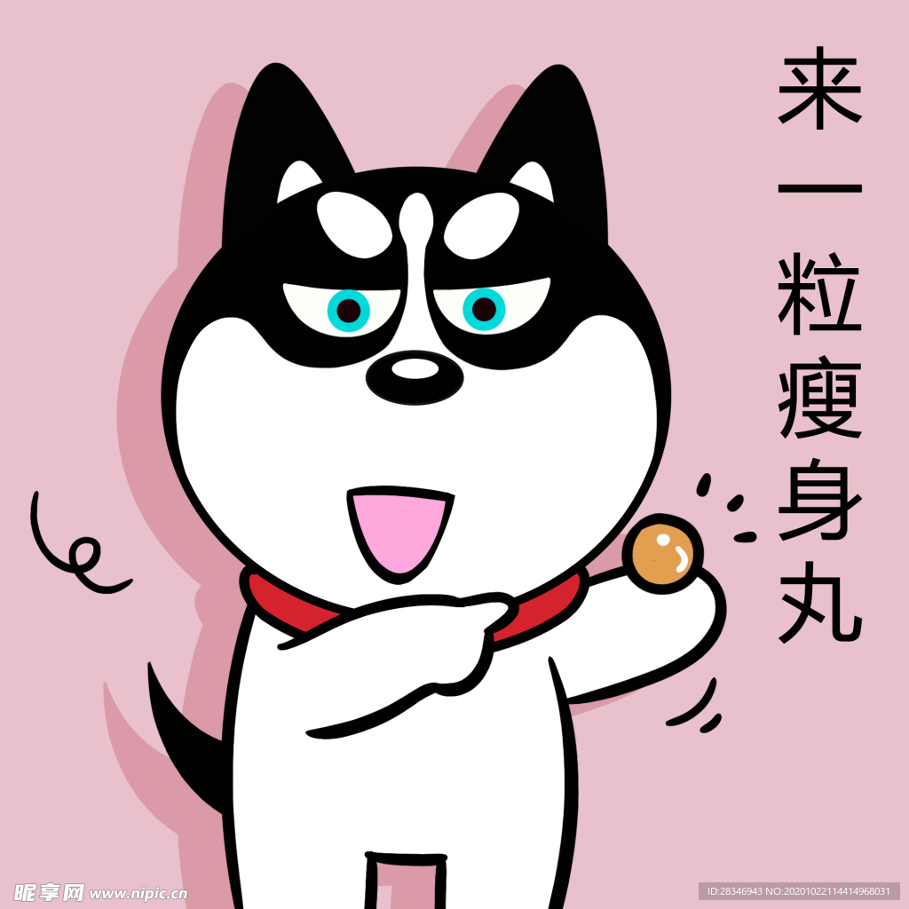 哈小齐减肥
