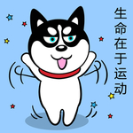 哈小齐减肥