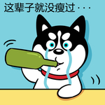 哈小齐减肥
