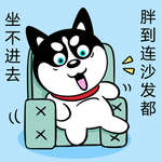 哈小齐减肥