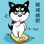 哈小齐减肥