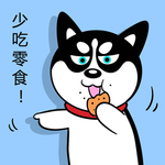 哈小齐减肥