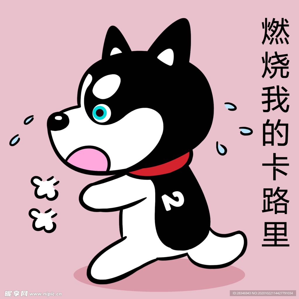 哈小齐减肥