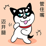 哈小齐减肥