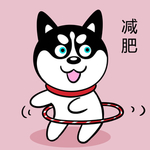 哈小齐减肥