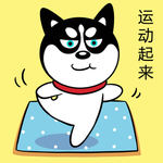 哈小齐减肥