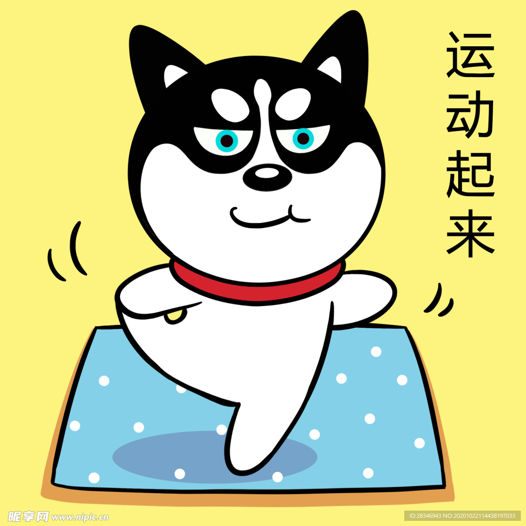 哈小齐减肥
