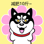 哈小齐减肥