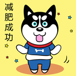 哈小齐减肥