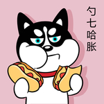哈小齐减肥