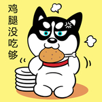 哈小齐减肥