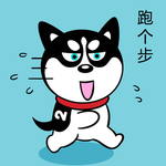 哈小齐减肥