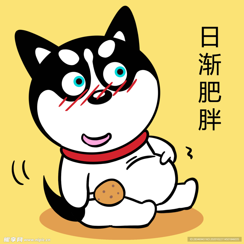 哈小齐减肥