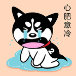 哈小齐减肥