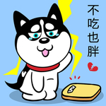 哈小齐减肥