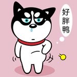 哈小齐减肥