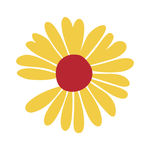 小雏菊