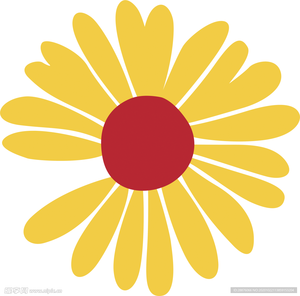 小雏菊